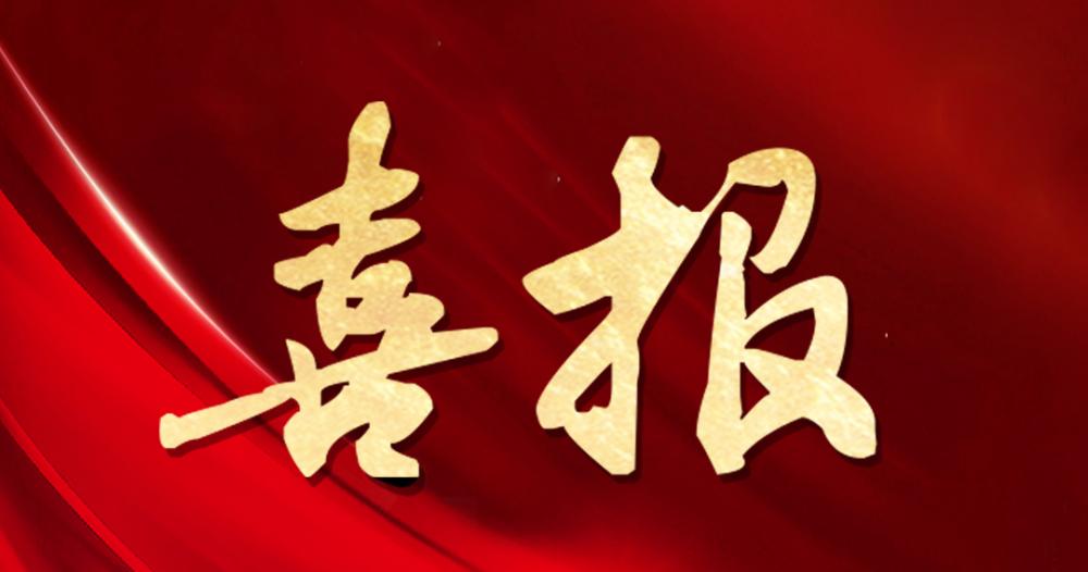 尊龙人生就是博三项目喜获2023年度徐州市优质工程奖“古彭杯”